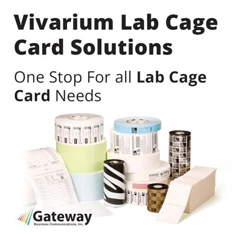 Vivarium Lab Cage Cards and Supplies